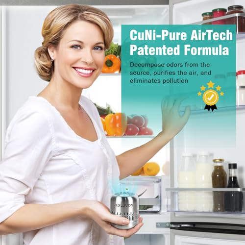 Reusable Stainless Steel Refrigerator Deodorizer & Odor Eliminator
