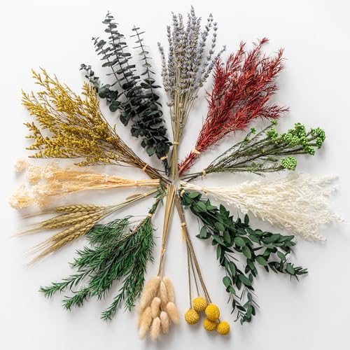 Natural Dried Flowers Bouquet Set (12 Kinds) for DIY Crafts & Vase Decor
