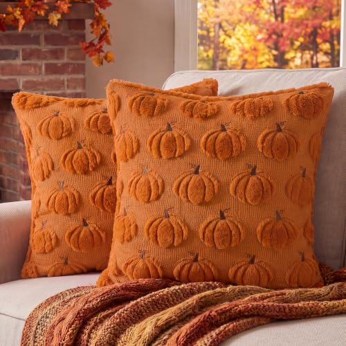 Rust Orange Pumpkin Throw Pillow Covers 18x18 - Set of 2 Fall Autumn Decor