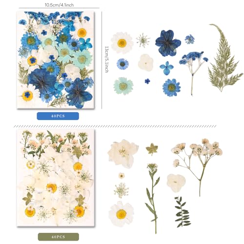 330PCS Natural Pressed Dried Flowers and Leaves Set with Tweezers