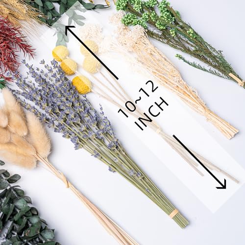 12-Variety Natural Dried Flower DIY Kit, 10-12 Inch Floral Decor