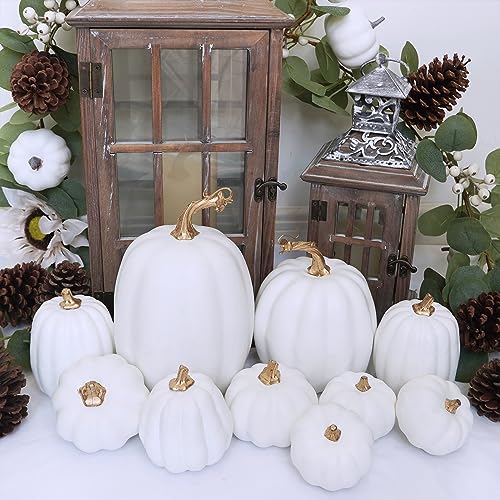 10 Pcs Assorted Artificial White Foam Pumpkins for Fall Home Decor