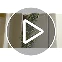 2-Pack Artificial Hanging Plants with Pots, Eucalyptus and Mandala Leaves