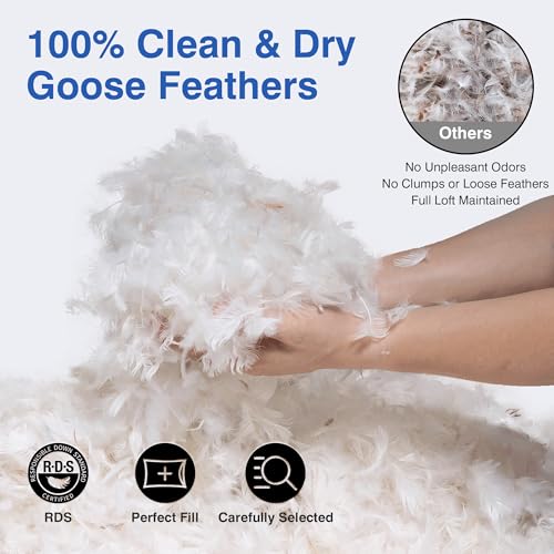 Queen Size Feather Pillows Set of 2 - Soft Goose Down Support
