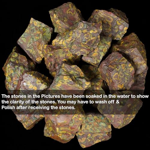 Natural Raw Fruit Jasper Rough Stones - 1 lb Bulk for Tumbling & Cabbing