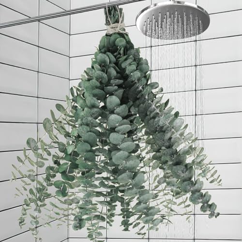 Preserved Dried Eucalyptus Stems - 11 Pack 17 Inch Shower Eucalyptus Decor