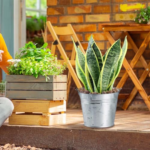 Galvanized Metal Buckets with Handles, 8-Pack - Rustic Mini Pails for Plants