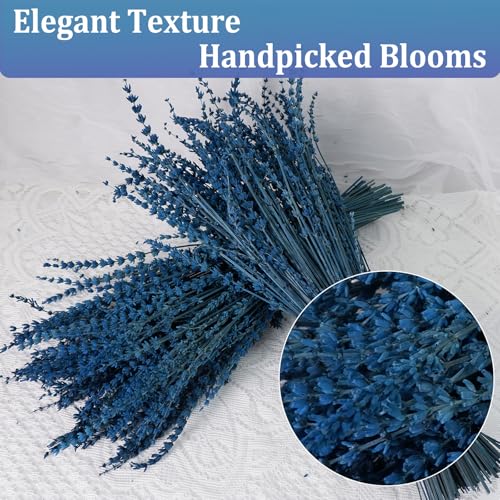 Dried Lavender Flower Bundles, 17-Inch Preserved Blue Lavender Stems