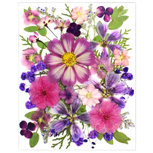 35 Pcs Real Purple Pressed Dried Flowers & Leaves for DIY Resin Crafts