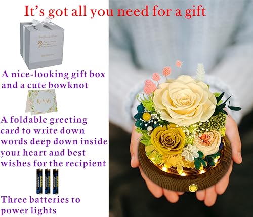 Preserved Champagne-Yellow Rose Arrangement with LED Lights & Gift Box