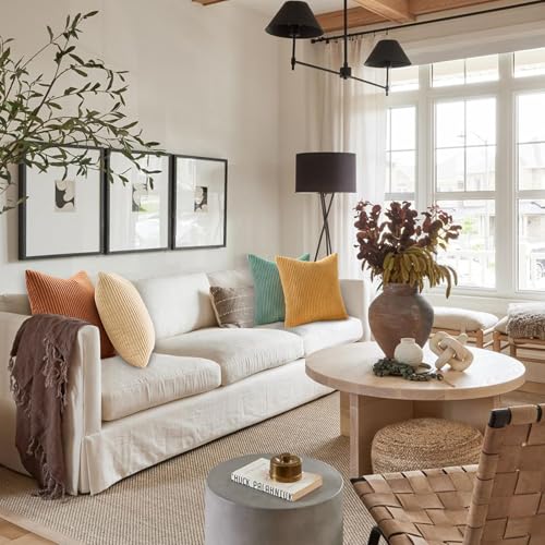Topfinel Decorative Throw Pillow Covers Set of 4 (18x18 Soft Cushion Cases)