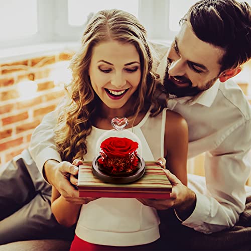 DuHouse Preserved Real Rose in Red - Enchanted Glass Dome, 4-5 Year Lifespan