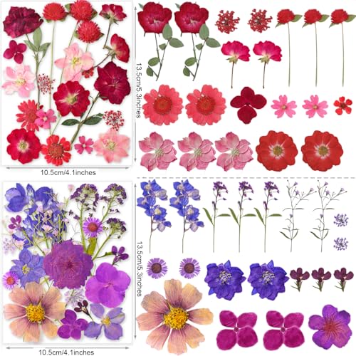 221 Pcs Natural Dried Pressed Flowers & Butterfly Stickers for Resin Crafts
