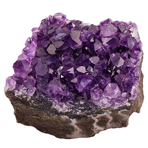 Natural Amethyst Quartz Crystal Cluster Geode Specimen, 1-2 Inch