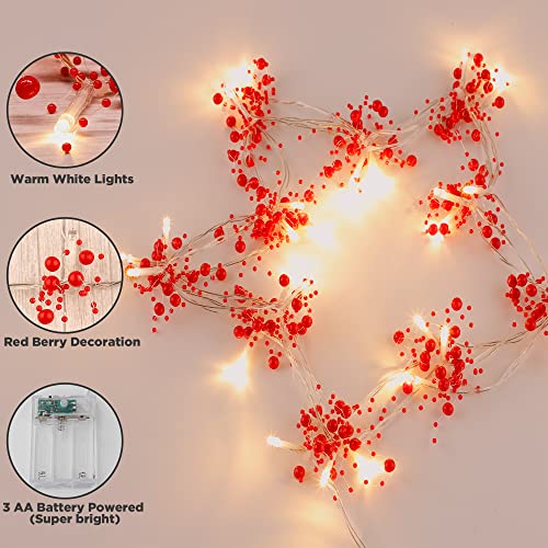 Mosoan 10ft Battery-Operated 30-LED Berry Bead Christmas Lights