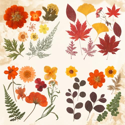 Real Dried Pressed Flowers & Leaves for DIY Resin Crafts - 100 Pcs Set