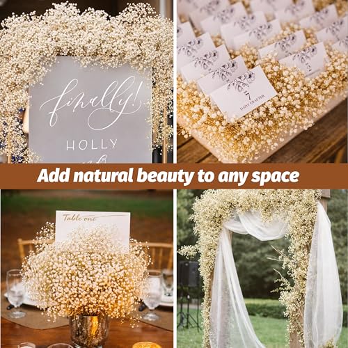 Dried Baby's Breath Flowers, 17-Inch Natural Ivory White Gypsophila Bouquet