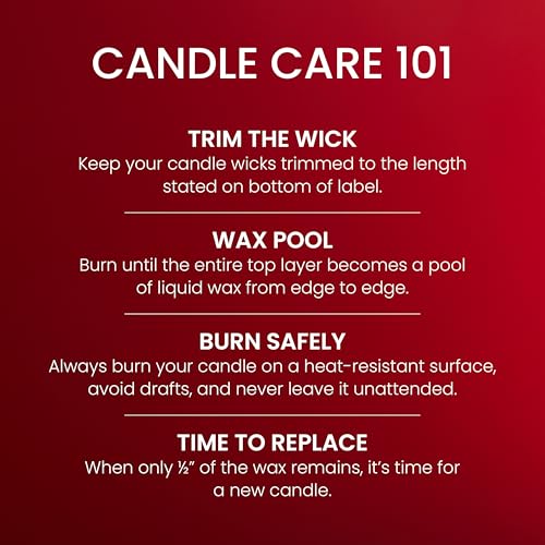 Yankee Candle Macintosh, Holiday Scented Candle, 14.5oz 3-Wick Candle Jar with up to 40 Hours Burn Time, Giftable, Holidays
