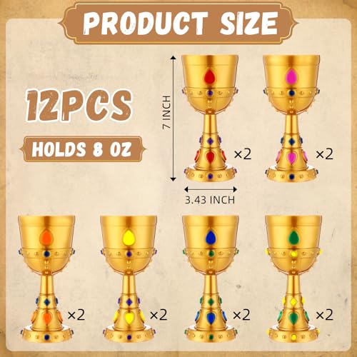 12-Piece Medieval Jeweled Goblets - 8 oz Vintage Plastic Party Cups