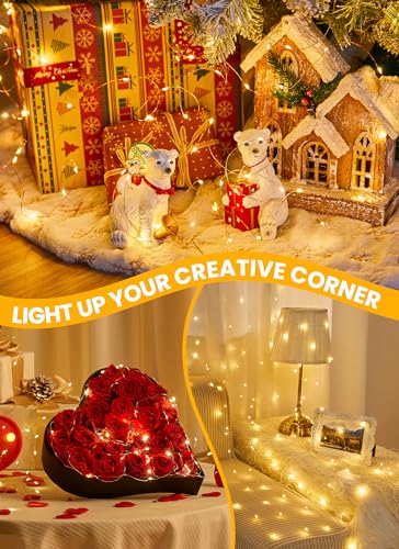 Minetom 66Ft 200 LED Fairy Lights USB Powered Waterproof Copper String Lights