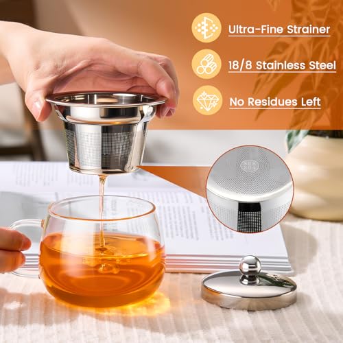 PARACITY 13 oz Glass Tea Mug with Infuser & Lid - Stovetop Safe, Fine Mesh Filter