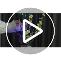 2-Pack Battery-Operated LED Willow Branch Lights, 30" Warm White Twigs