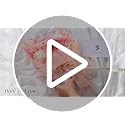 Preserved Pink Roses Bouquet with Vase & Gift Box - Real Forever Flowers