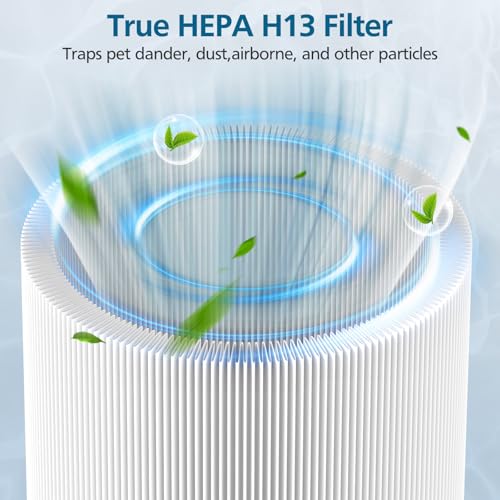 Replacement Air Purifier Filter True HEPA and Activated Carbon 2 Pack
