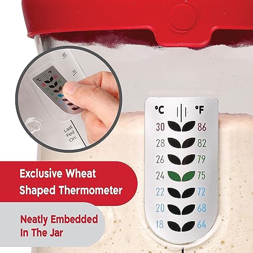 Sourdough Starter Jar Kit 34 oz Large Glass Container with Lid and Spatula