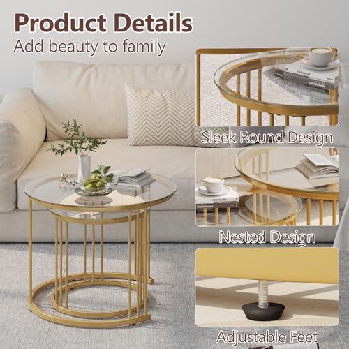 Round Nesting Coffee Table Set of 2, Gold Metal Frame with Glass Top