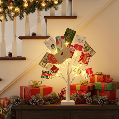 Lighted Birch Money Tree Gift Holder with Clips & Cards - 2FT