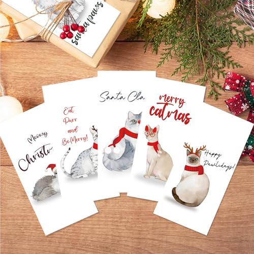 Christmas Cat Money Holder Cards Set - Includes 30 Holiday Greeting & Gift Envelopes