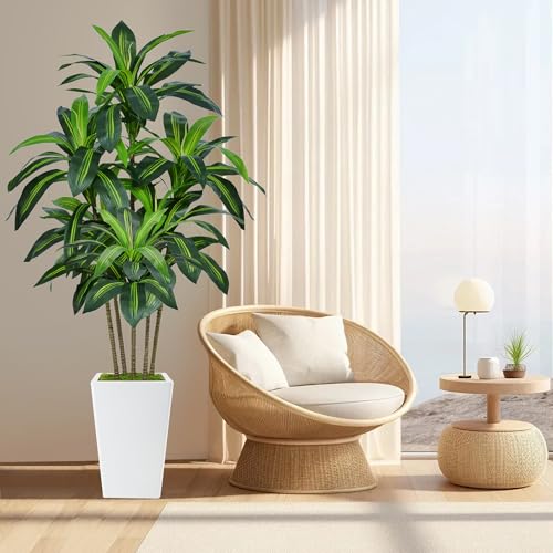 6FT Artificial Dracaena Tree in White Planter - Realistic Indoor Plant