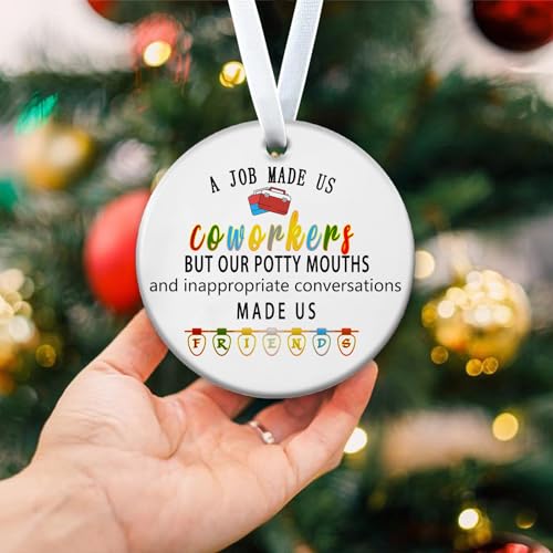 Zeptrix Christmas Ornaments 2026 – Coworkers Appreciation Gift, Funny Office Tree Decor, Thank You Gift