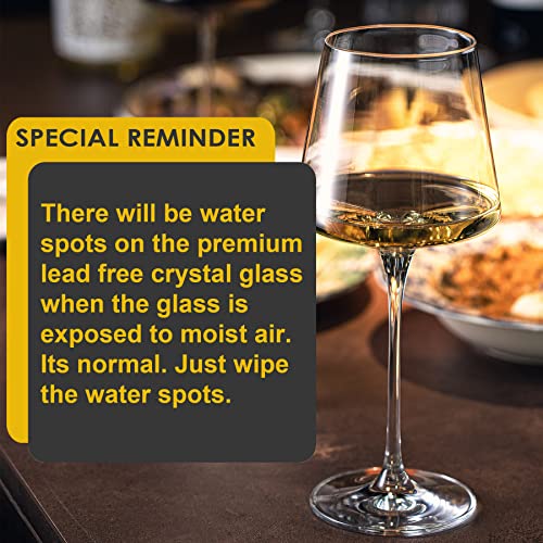 Premium Crystal Wine Glasses Set of 6 - 18.5oz Lead-Free Stemware