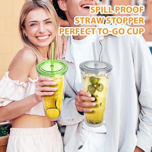 32 oz Double Wall Insulated Tumbler with Lid and Straw, 2 Pack Clear Cup