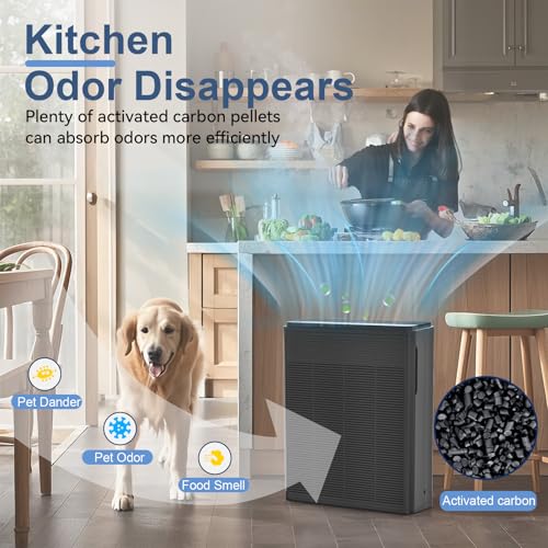 Large Room Air Purifier for Home with H13 HEPA Filter, Black