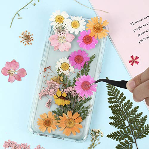 Natural Dried Pressed Flowers Set with Tweezers for Epoxy Resin Crafts (68 Pcs)
