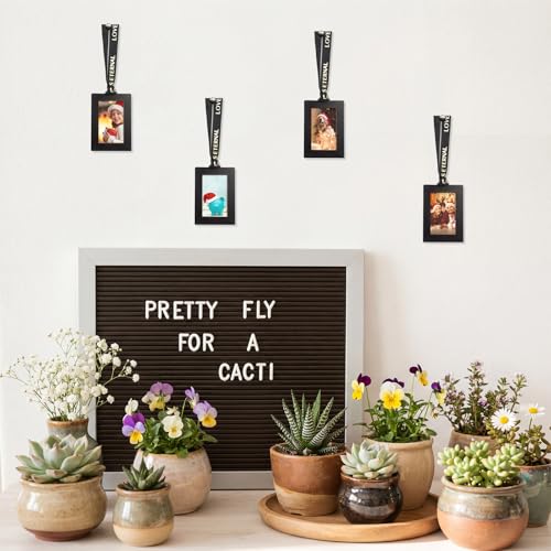 20 Pack Black Hanging Mini Picture Frames for Xmas Tree Wall Decor