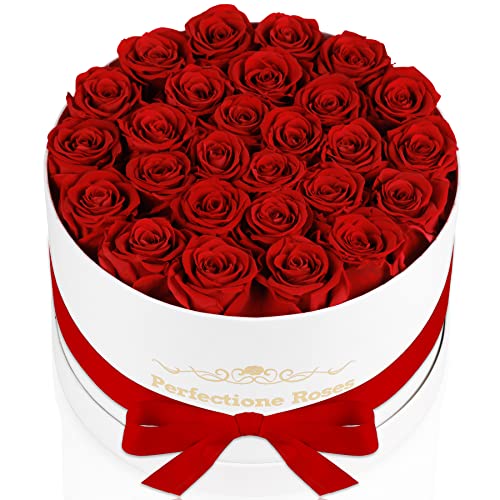 27 Preserved Red Roses in Round Gift Box - Real Eternal Flower Arrangement
