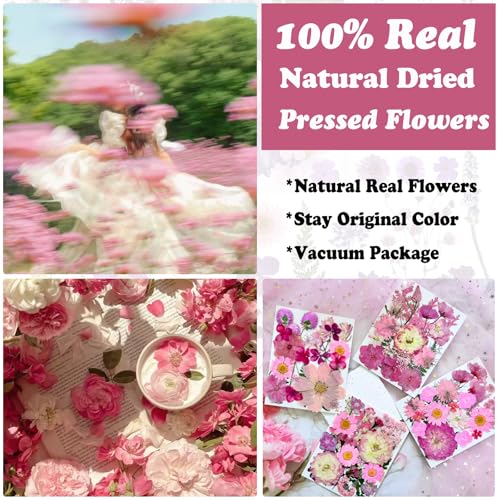 132pcs Natural Dried Pressed Flowers and Butterfly Stickers for Resin Crafts