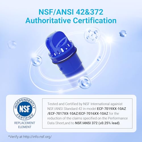 Pitcher Water Filter Replacement - NSF Certified 60-Gallon Filters (4-Pack)