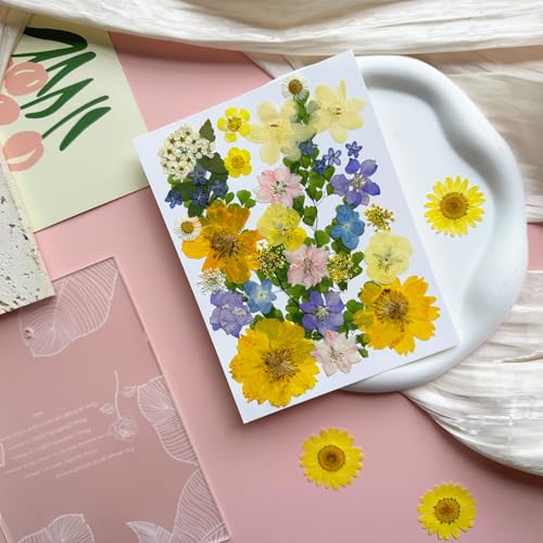 34Pcs Real Pressed Dried Flowers and Leaves for Resin Art and DIY Crafts