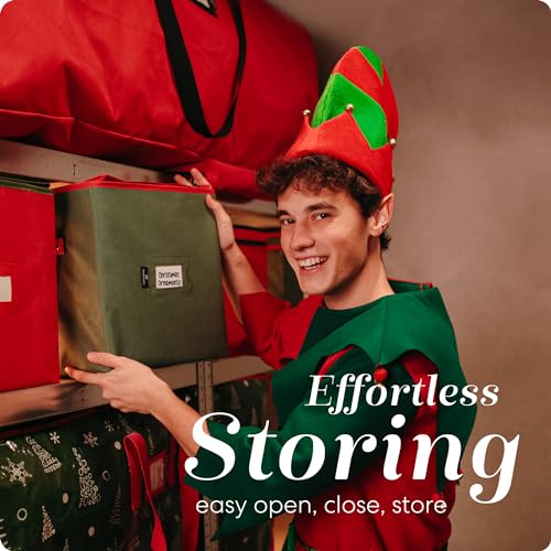Green 64-Ornament Storage Organizer with Adjustable Dividers, Zippered Top
