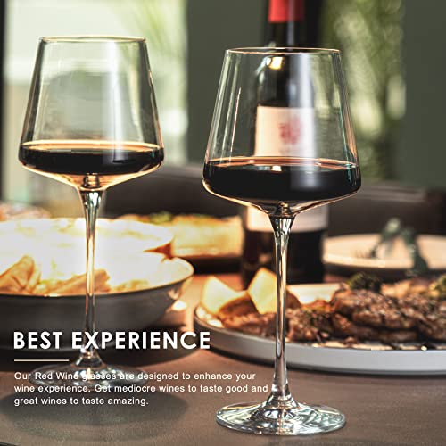 Premium Crystal Wine Glasses Set of 6 - 18.5oz Lead-Free Stemware