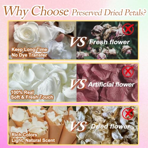 Real Freeze-Dried White Rose Petals for Wedding Decor and Toss - 180+ PCS