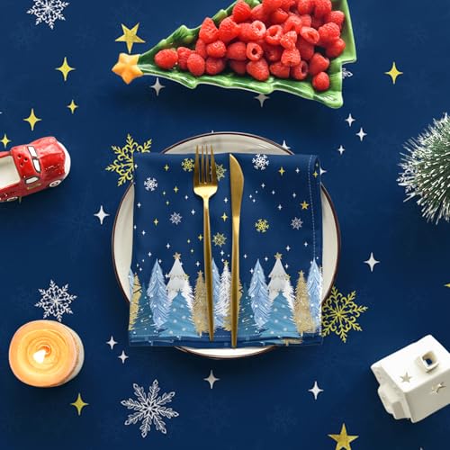 Horaldaily Christmas Tablecloth 60 x 104 Inch Blue Grey – Rectangular 60"x104"