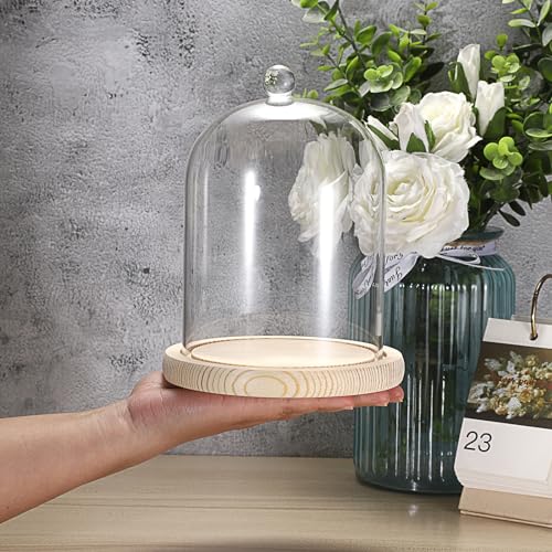 Clear Glass Display Dome Cloche with Wood Base, 7.3-inch Decorative Jar