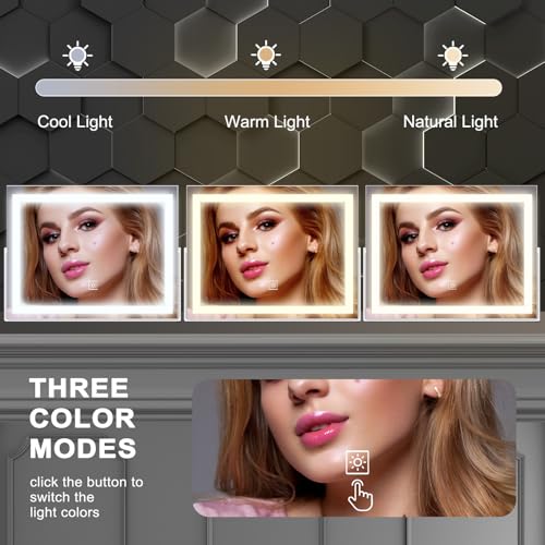 ACOLAR 14 Inch LED Vanity Makeup Mirror with Lights, Dimmable Touch, 360° Rotation, Large Metal Frame, 11" W