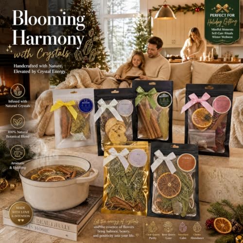 Havawish 12 Pack Intention Simmer Pot Potpourri with Crystals & Botanical Mix